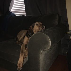 Meet your Posher, Brandon